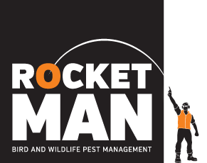 RocketMan - Bird and Wildlife Pest Management